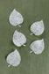 Gossamer Leaves