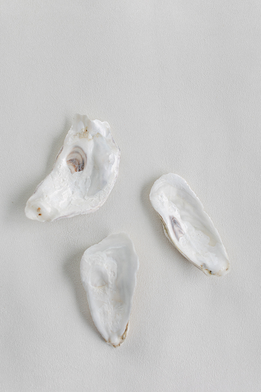 Styling Oyster Dish