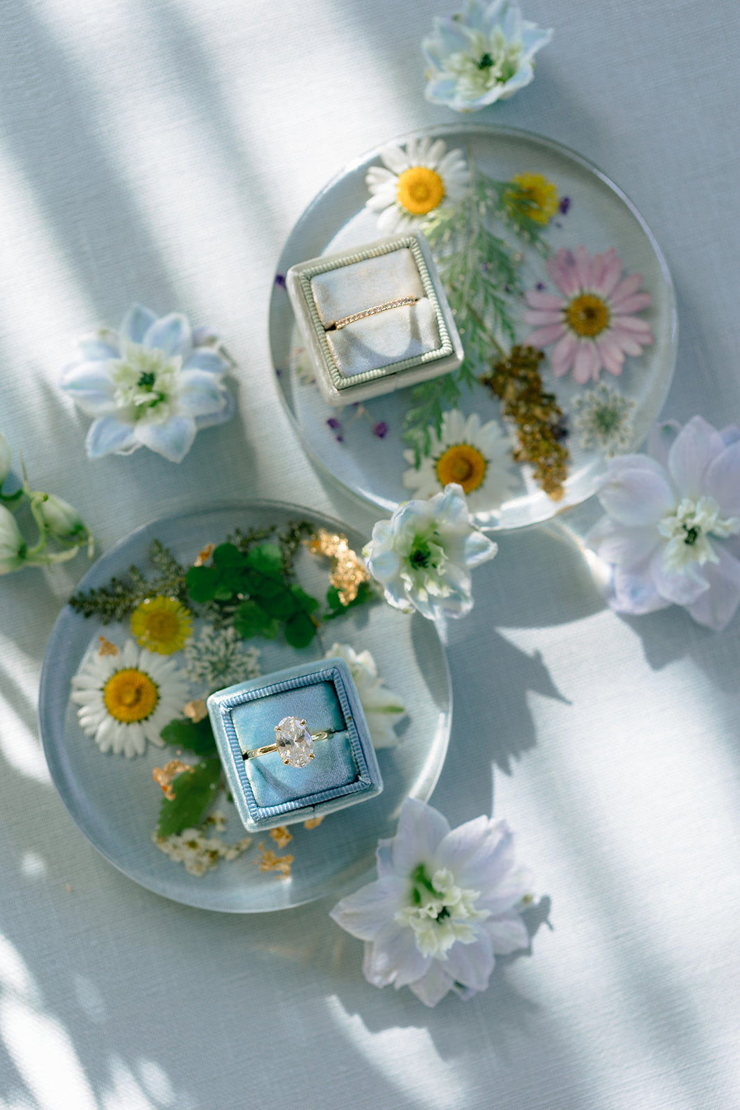 Clear Bloom Riser