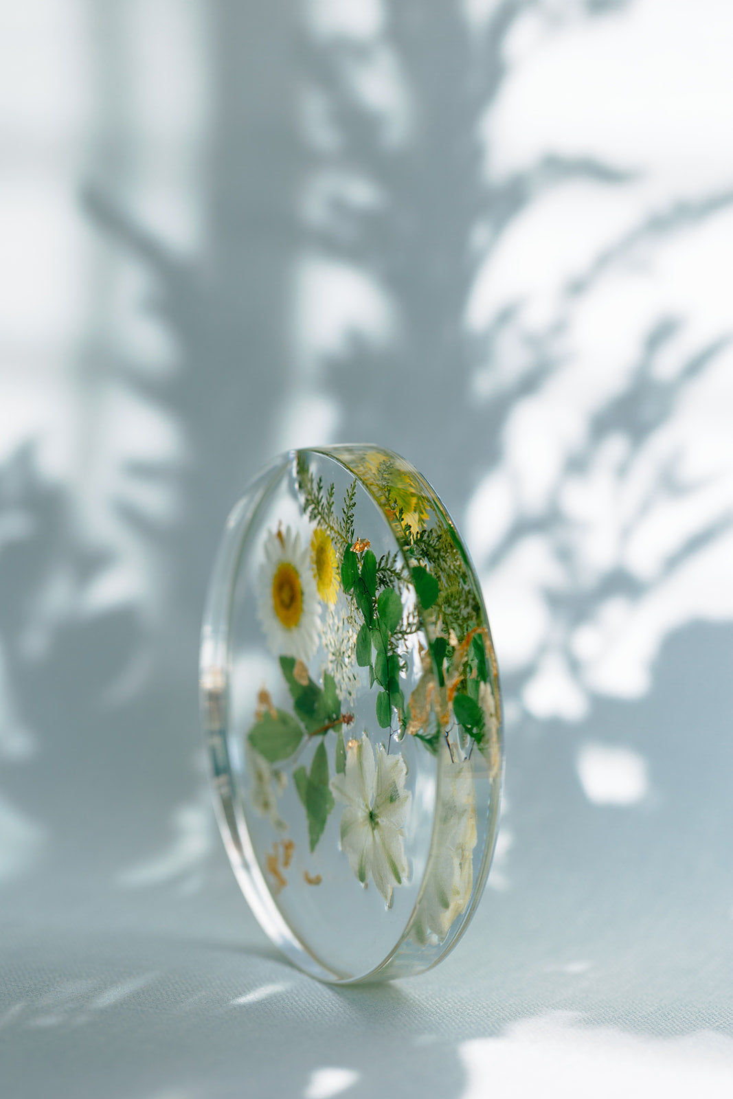 Clear Bloom Riser