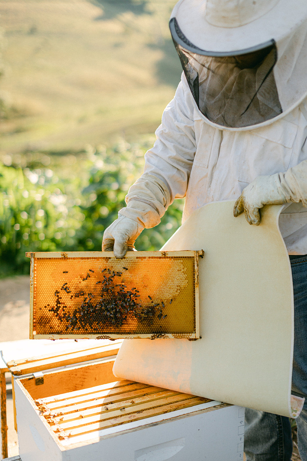 Flat Lay Styling Mat – Double-Sided Photography Backdrop - Honey Suede -Rollable Flat Lay Background – Olive and Oak