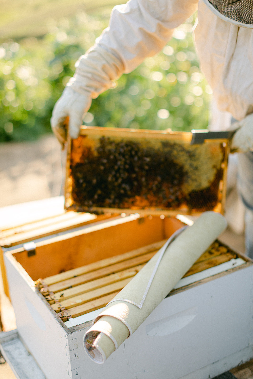 Flat Lay Styling Mat – Double-Sided Photography Backdrop - Honey Suede -Rollable Flat Lay Background – Olive and Oak