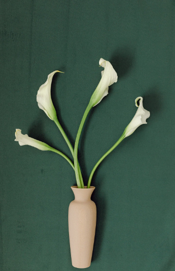 Flat Decorative Vases for Flat Lay Styling