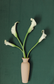 Flat Decorative Vases for Flat Lay Styling