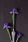 Flat Decorative Vases for Flat Lay Styling